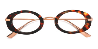 tortoiseshell Eyeglasses