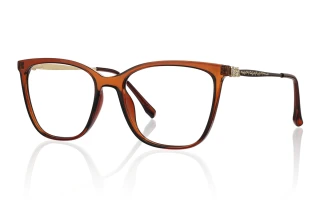 brown Eyeglasses