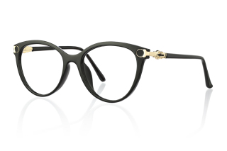 black Eyeglasses