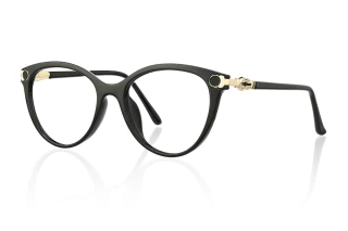 black Eyeglasses