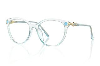 blue Eyeglasses