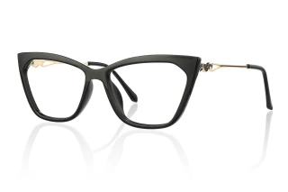 black Eyeglasses