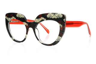 black_clear Eyeglasses