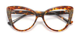 tortoiseshell Eyeglasses