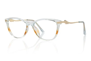 other Eyeglasses