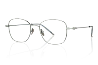 silver Eyeglasses