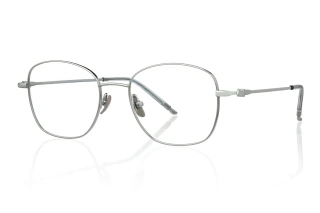 silver Eyeglasses