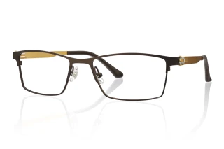 gold Eyeglasses