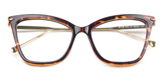 tortoiseshell Eyeglasses