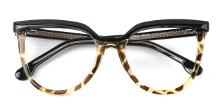 tortoiseshell Eyeglasses