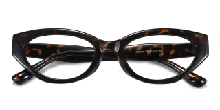 tortoiseshell Eyeglasses
