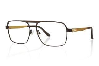 gold Eyeglasses