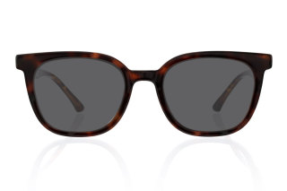 tortoiseshell Eyeglasses