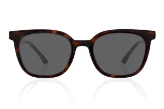 tortoiseshell Eyeglasses