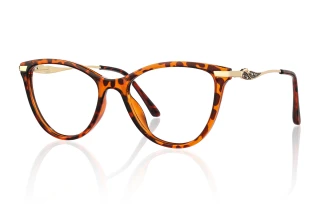 tortoiseshell Eyeglasses