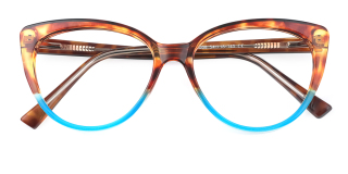 tortoiseshell Eyeglasses