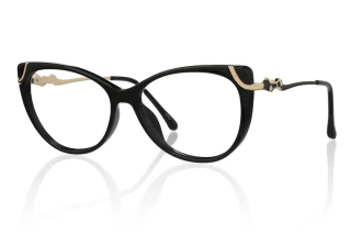 black Eyeglasses