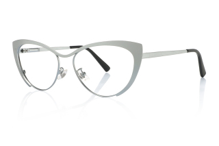 silver Eyeglasses
