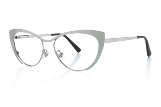 silver Eyeglasses