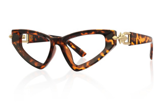 tortoiseshell Eyeglasses