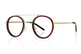 brown Eyeglasses
