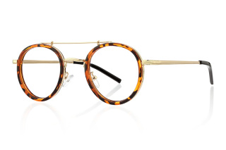 tortoiseshell Eyeglasses
