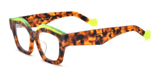 tortoiseshell Eyeglasses