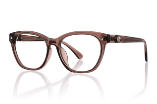 brown Eyeglasses