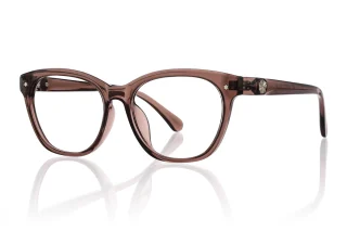 brown Eyeglasses