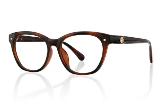 tortoiseshell Eyeglasses