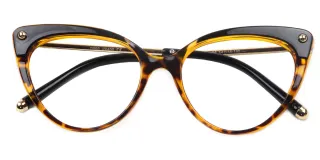 tortoiseshell Eyeglasses