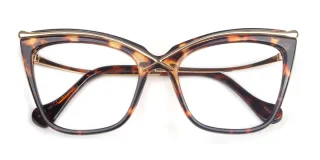 tortoiseshell Eyeglasses