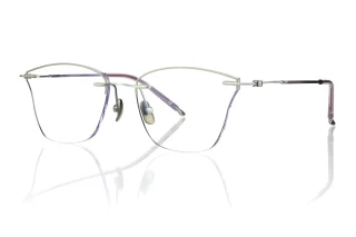 silver Eyeglasses