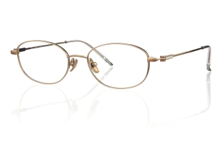 gold Eyeglasses