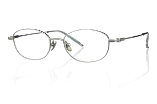 silver Eyeglasses