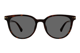 tortoiseshell Eyeglasses