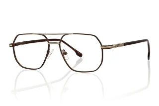 brown Eyeglasses