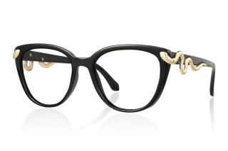 black Eyeglasses