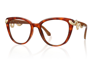 brown Eyeglasses