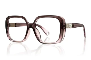 brown Eyeglasses