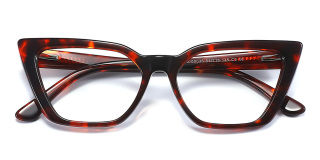 tortoiseshell Eyeglasses