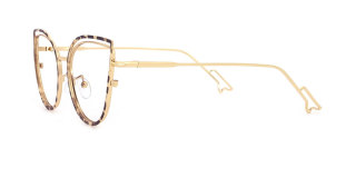 tortoiseshell Eyeglasses
