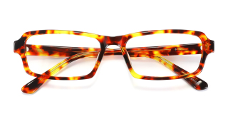tortoiseshell Eyeglasses