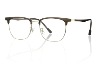 Brown_silver Eyeglasses 59831D