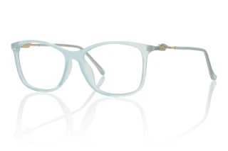 blue Eyeglasses
