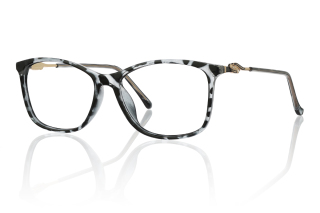 other Eyeglasses