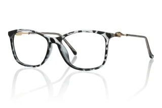other Eyeglasses