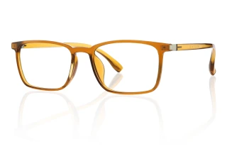 brown Eyeglasses