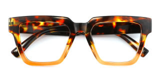 tortoiseshell Eyeglasses