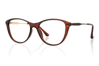 brown Eyeglasses